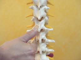 dorn therapie 1